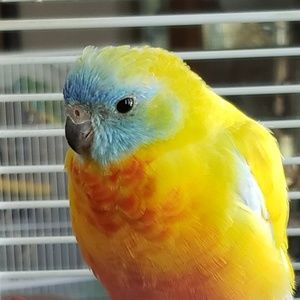 Meet your Posher, D0tted